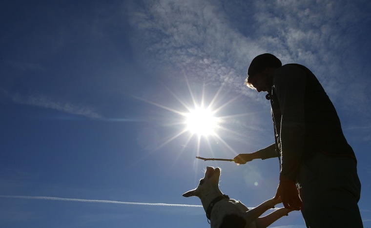 Image: A man plays with his dog on sunny spring day in the 'Englischer Garten' in Munich