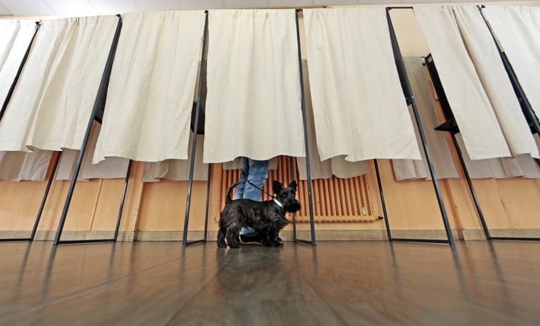 Image: A dog waits as its owner stands in a polling booth at a polling station during the French mayoral elections in Nice