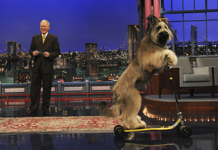 Stupid pet tricks with Late Show host David Letterman on the Late Show with David Letterman, Thursday Feb. 24, 2011 on the CBS Television Network. Photo: Heather Wines/CBS ©2011 CBS Broadcasting Inc. All Rights Reserved.