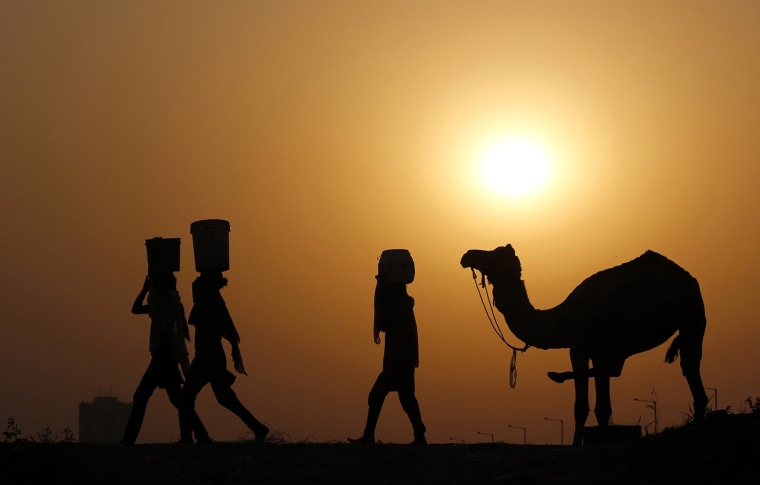 Image: Girls carrying buckets filled with water are silhouetted against the setting sun as they walk past a camel on the banks of river Yamuna in New Delhi