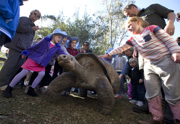 Image: Children pet Hugo, a 63-year-old Galapagos Tortoise before his annual weighing at the Australian Reptile Park in Somersby near Sydney