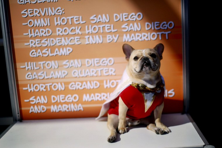 Image: Ollie the French Bulldog, dressed in a \"Shazam\" costume, sits outside of the San Diego Convention Center during the 2014 Comic-Con International Convention in San Diego