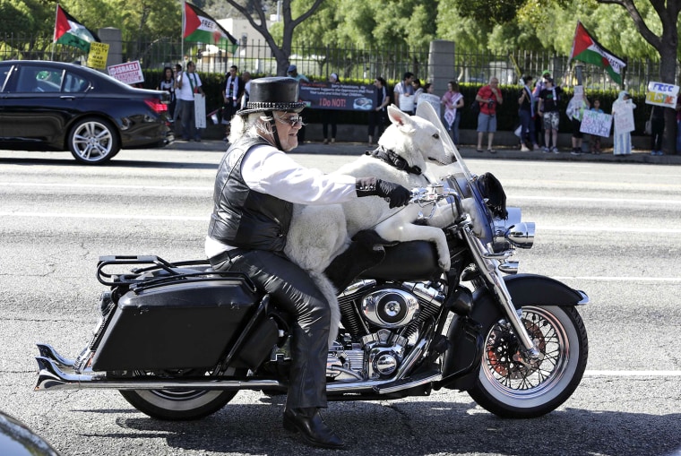 Image: Gerbracht rides his Harley Davidson motorcycle with his dog on Wilshire Boulevard in Los Angeles