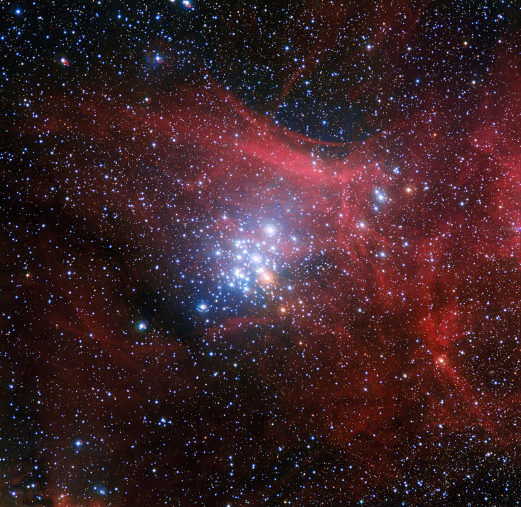 Image: The star cluster NGC 3293