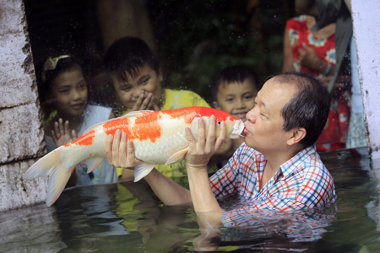 Image: Zoo owner gives a kiss to a giant Japanese Koi carp while children watch, as part of the zoo's newest attraction dubbed \"The World of Kois\", in Malabon city