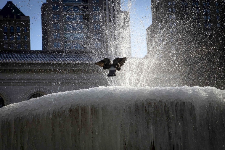 Image: A pigeon flies over the ice-covered Josephine Shaw Lowell Memorial Fountain, in frigid temperatures in Bryant Park in the Manhattan borough of New York City