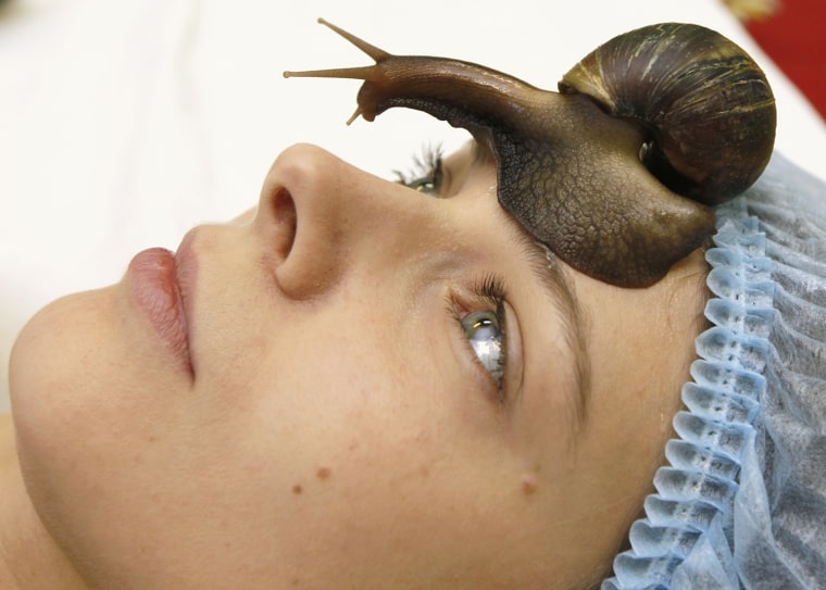 Image: A member of the \"Ranetka\" private family club takes a medical-cosmetic massage using the Achatina fulica snail, in Krasnoyarsk