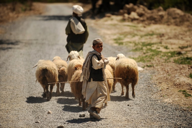 Image: Afghan villagers with their sheep walk p