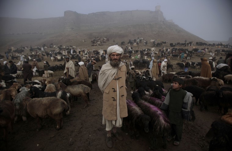 Image: Livestock market in Kabul
