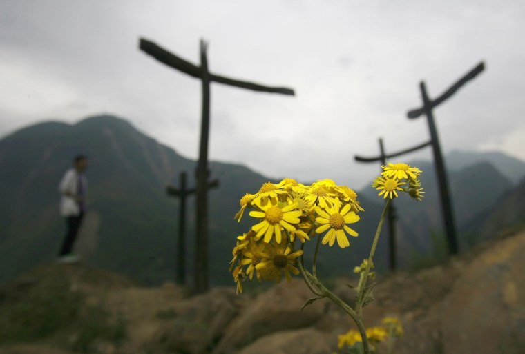 Chrysanthemums are seen at Donghekou Earthquake Site Park in Qingchuan County