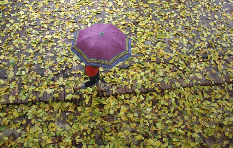 Image: A girl holding an umbrella walks along a pathway as it rains in Noida