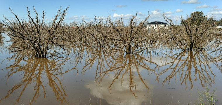 Image: An orchard is under water on the outskir