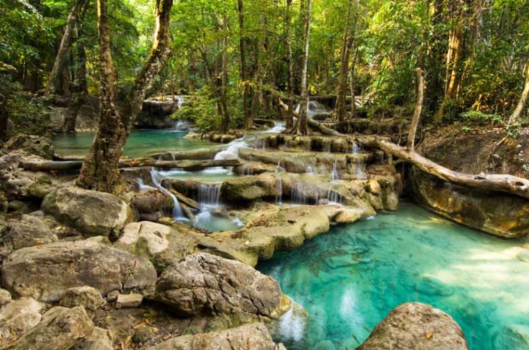 World's most amazing rainforests