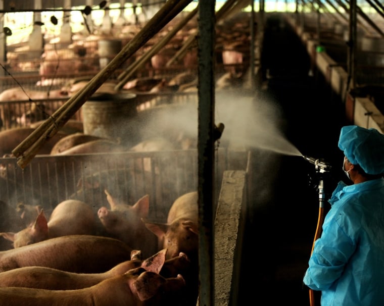 Image: A worker hoses down pig on a farm in Cha