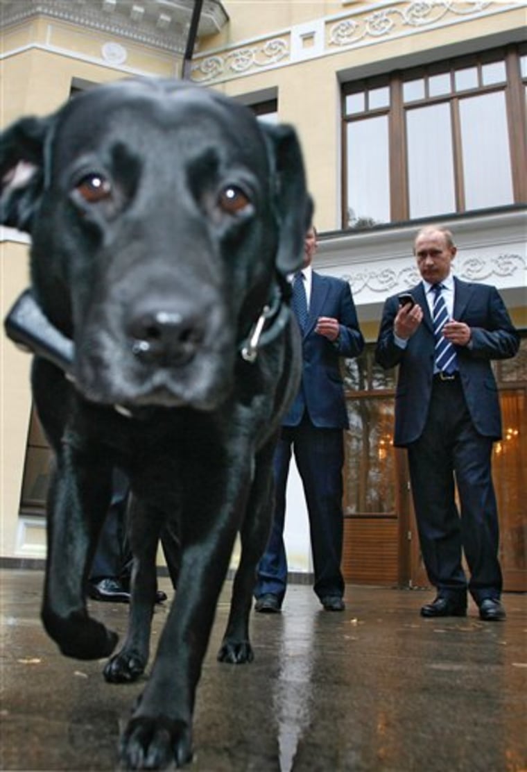Russia Putin's Dog