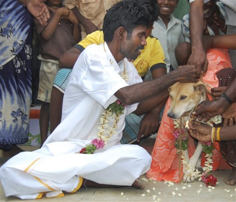 India Man Weds Dog