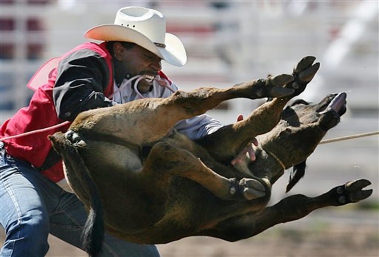 Animal rights group targets popular rodeo