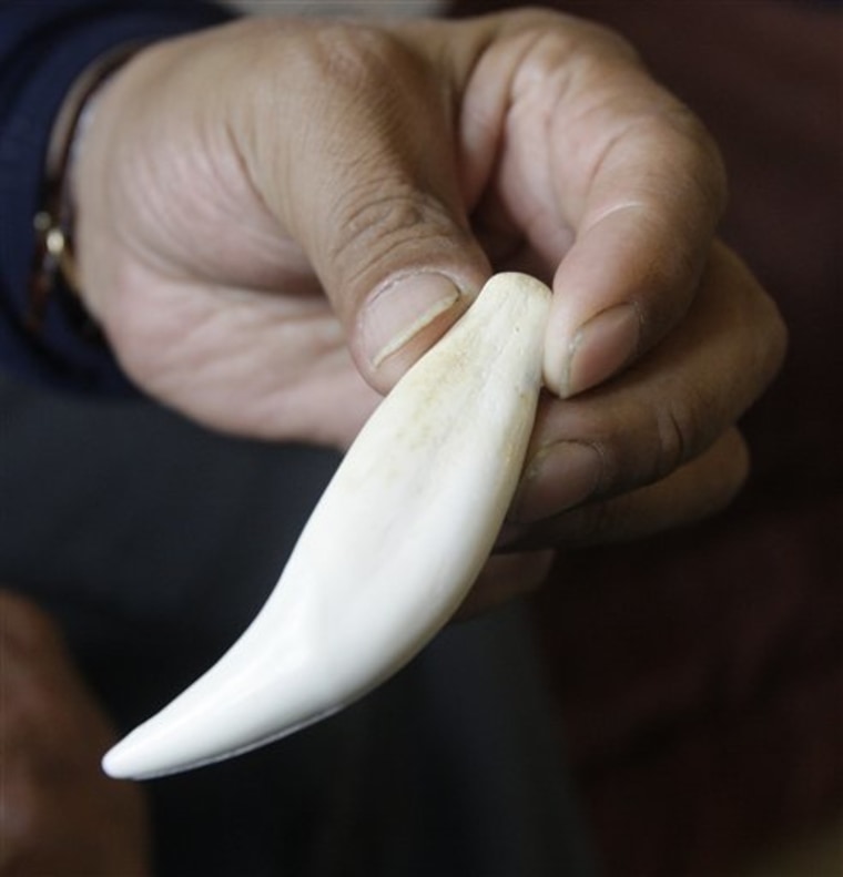 Climate 09 The White Bear