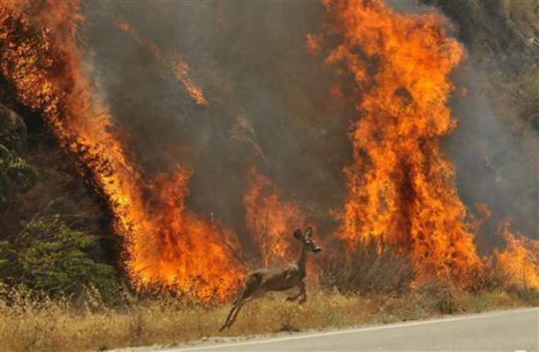 Wildfires Environment