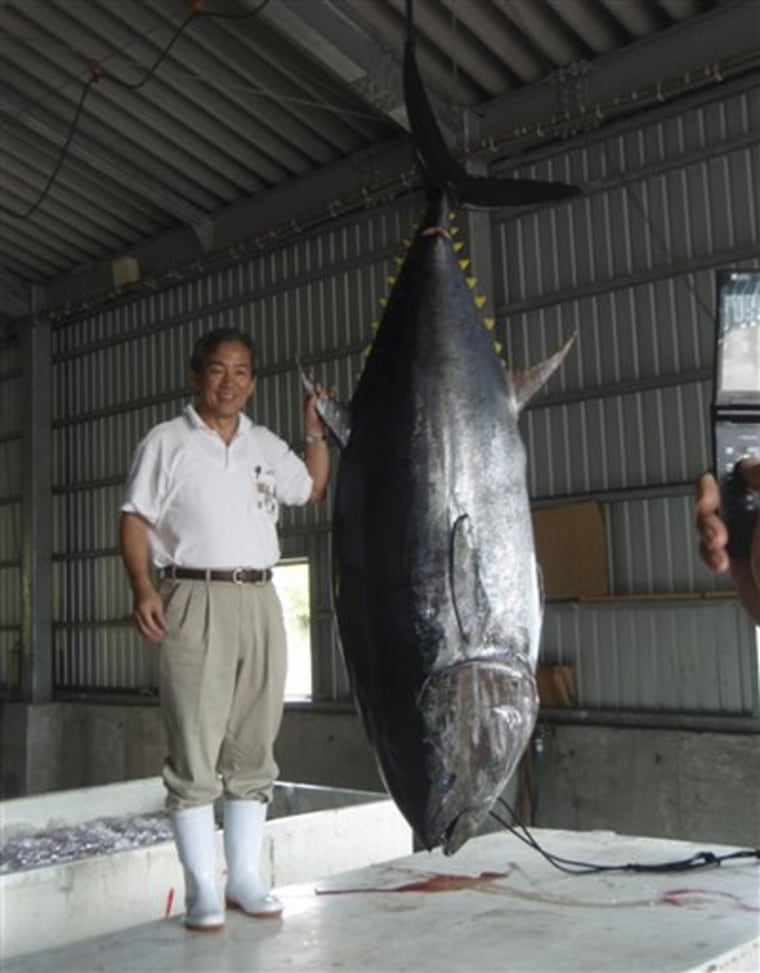 Japan Farming Tuna