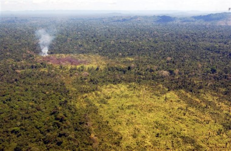 Brazil Amazon Deforestation