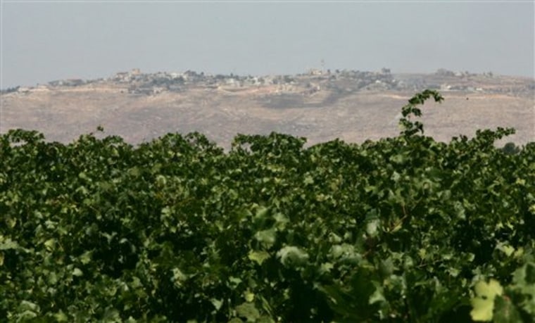 ISRAEL  RESILIENT WINERIES