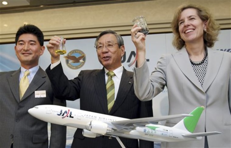 Japan Biofuel Flight