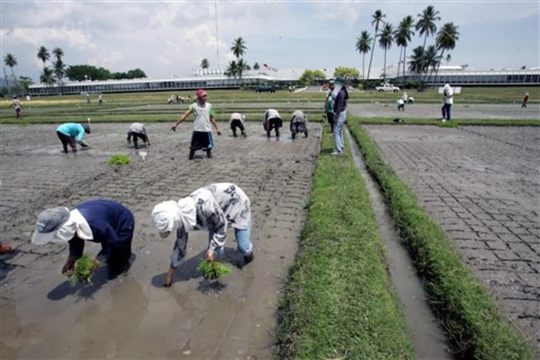Food Crisis Soil