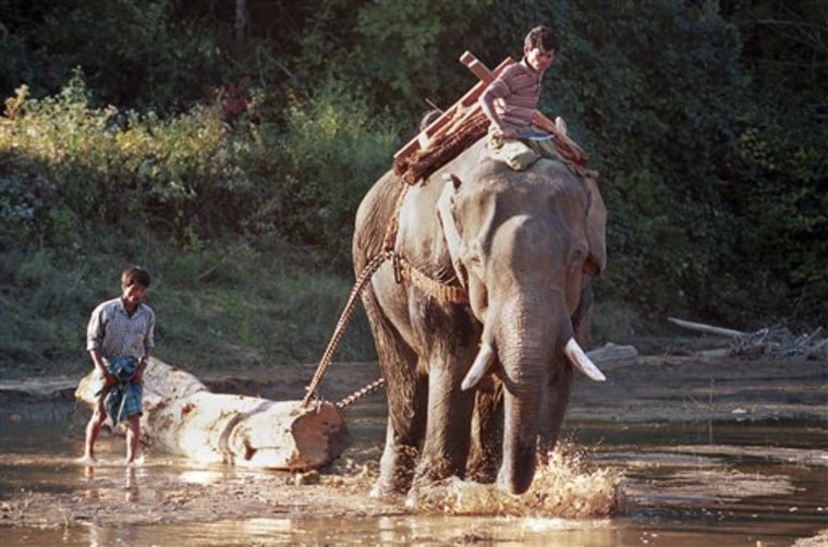 Myanmar Environmental Menace