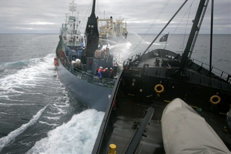 Antarctica Japan Whaling
