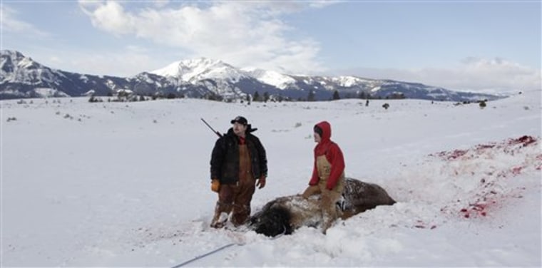 HAVA Hosts Native American Marine Veteran on Bison Hunt