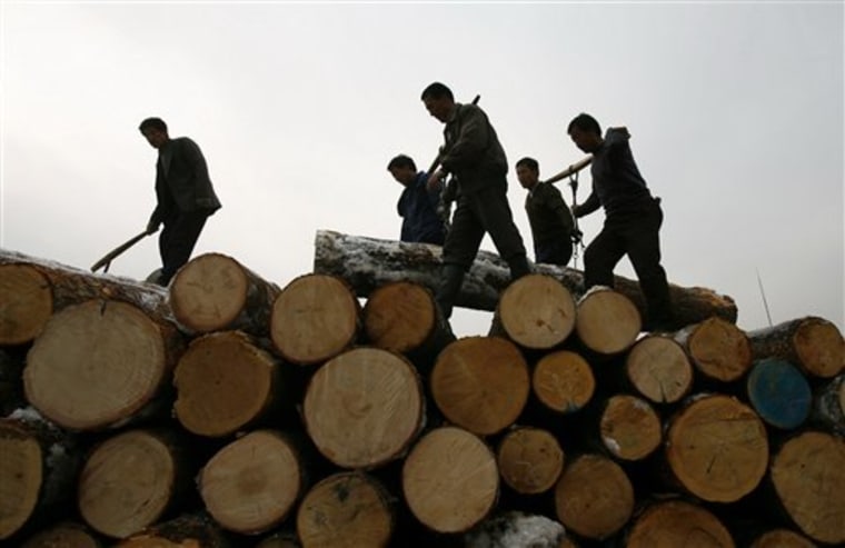 China Forestry