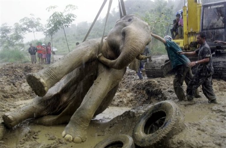 APTOPIX THAILAND TRAPPED ELEPHANT