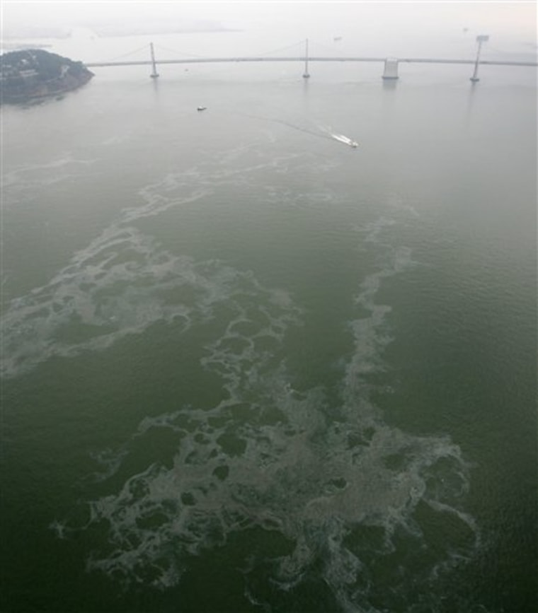 APTOPIX Bay Bridge Oil Spill