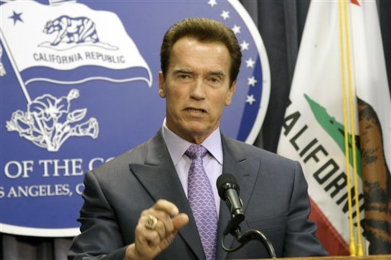 Schwarzenegger's Future