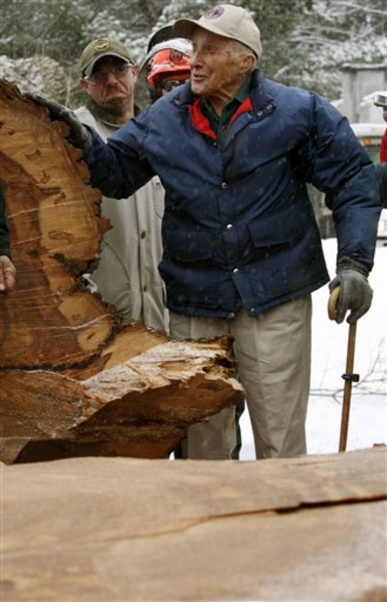 Old Man And The Tree
