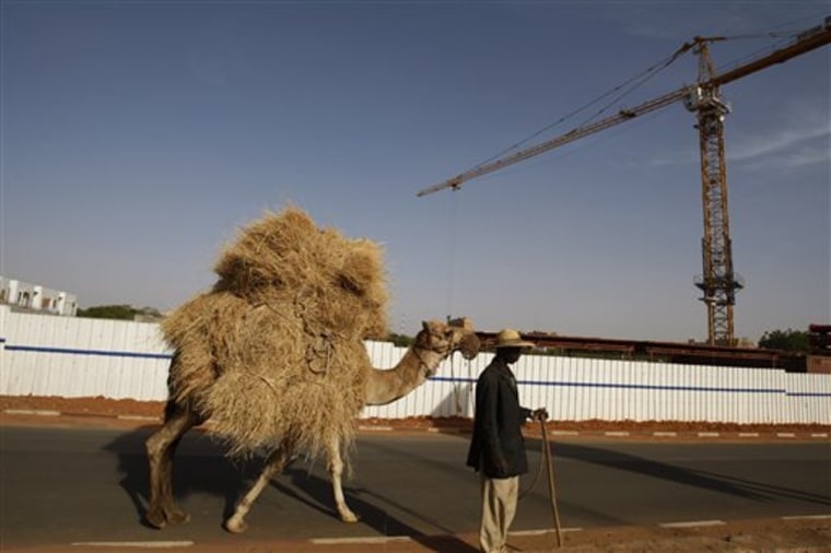 A man selling straw for animal feed leads his camel past a construction site in central Niamey, Niger Monday, Feb. 22, 2010. A top leader of Niger's new military junta defended last week's coup, saying Sunday, Feb. 21 that the army overthrew the uranium-rich nation's dictatorial president to restore democracy after he refused to step down when his mandate expired. (AP Photo/Rebecca Blackwell)