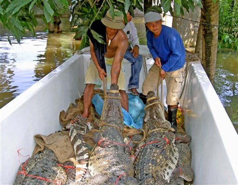 THAILAND EVACUATING CROCODILES