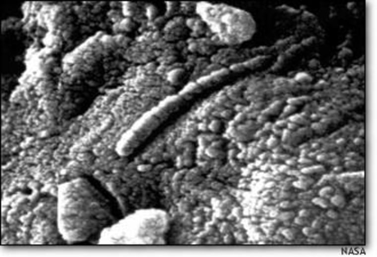 Is it life? This microscopic image of a Martian meteorite shows wormlike structures, but skeptics say they aren't necessarily biological in origin.