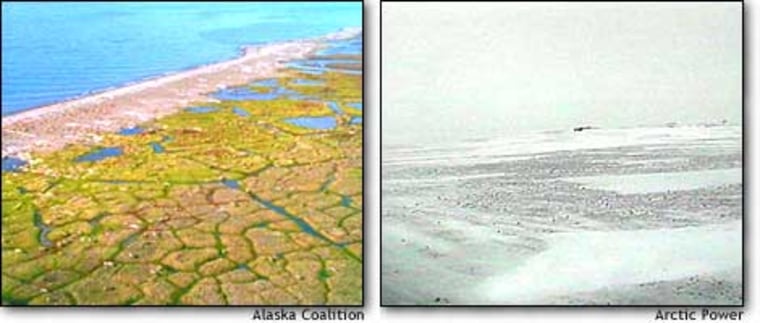 The Arctic National Wildlife Refuge's coastal area, where any drilling would occur, is viewed from different perspectives. The spring image is offered by the Arctic Wilderness Coalition, which opposes drilling. The winter view is from video by Arctic Power, which favors drilling.