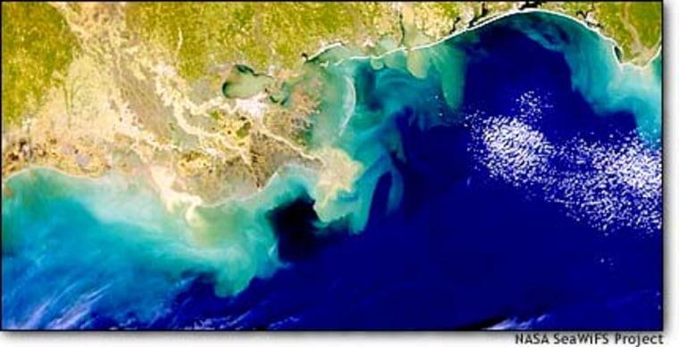 Seen from a NASA satellite, the Mississippi River delta dumps fertlizers and manure from farms miles upstream into the Gulf of Mexico. The effluents contribute to the creation in summer of a "dead zone" as large as 7,000 square miles.