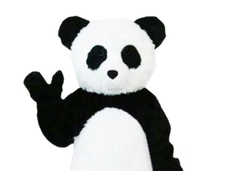 A panda costume courtesy of CostumeCase.com