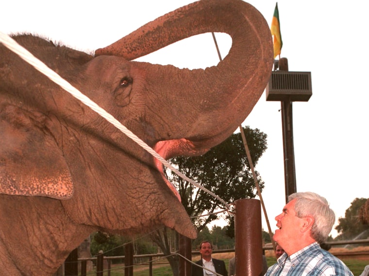 File Photo: House Speaker Newt Gingrich of Georgia looks at an Asian elephant who resides at the Wild Animal Park in San Diego, Friday Aug. 9, 1996. Photo by Ron Gordon Garrison/AP Photo, File)