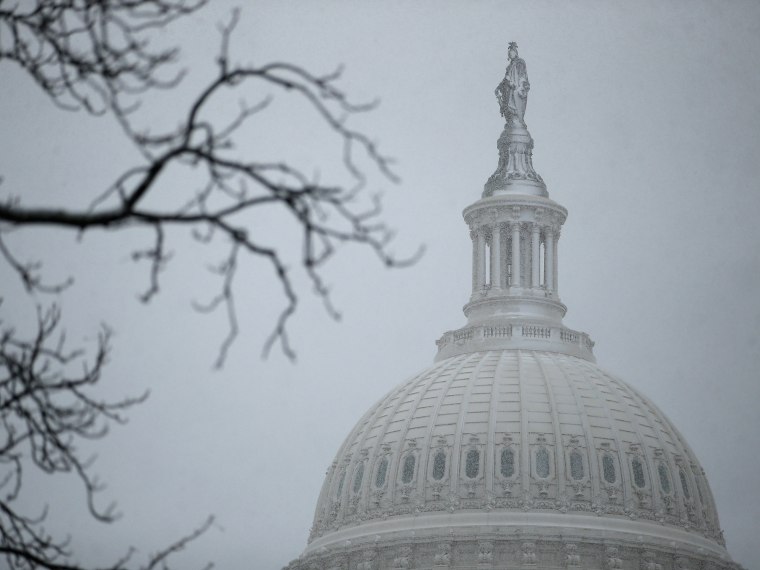 A wet and heavy mixture of rain and snow covers the north side of the bronze Statue of Freedom on the top of the U.S. Capitol Dome March 6, 2013 in Washington, DC. A late winter storm is expected to cover the Mid-Atlantic region after dropping almost a...