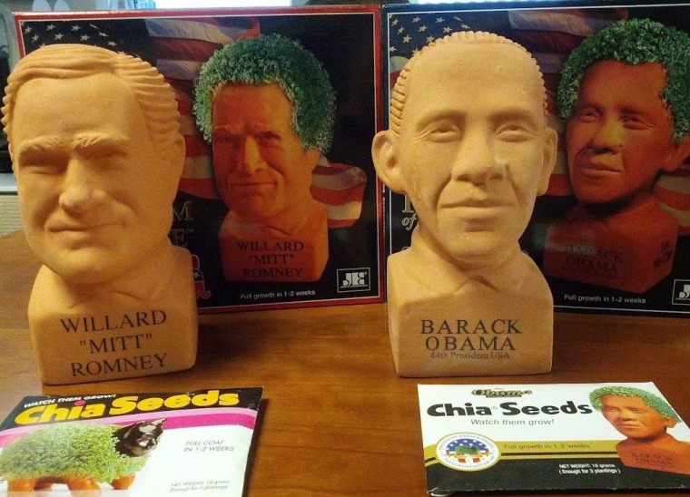 The Chia heads, unpacked