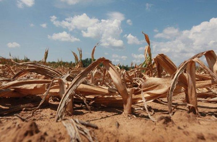 The politics of drought