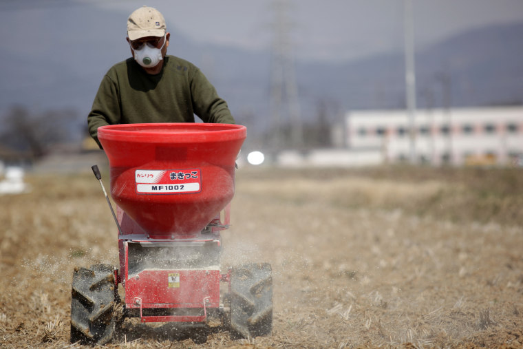 On the outskirts of Fukushima city, a farmer spreads zeolite -- intended to absorb and concentrate radioactive cesium -- across his rice field in preparation for planting.