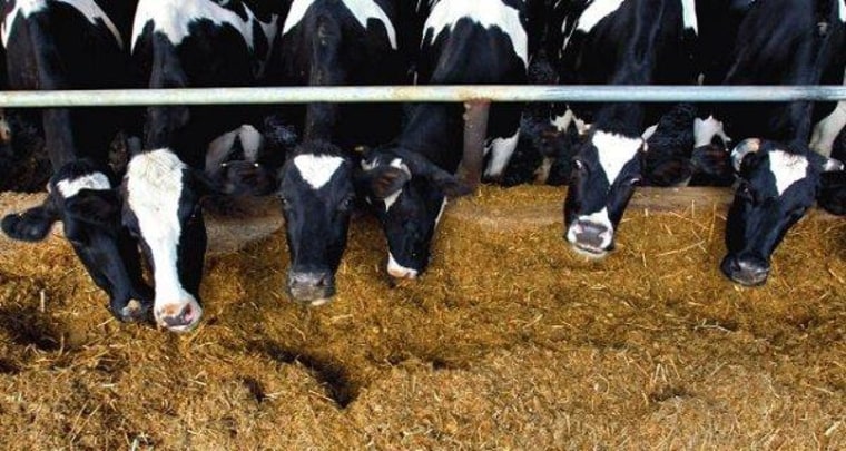 GOP obstinacy may force milk price spike
