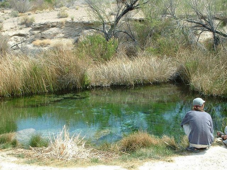 Political metaphor waits to happen: Devil's Hole Pupfish edition