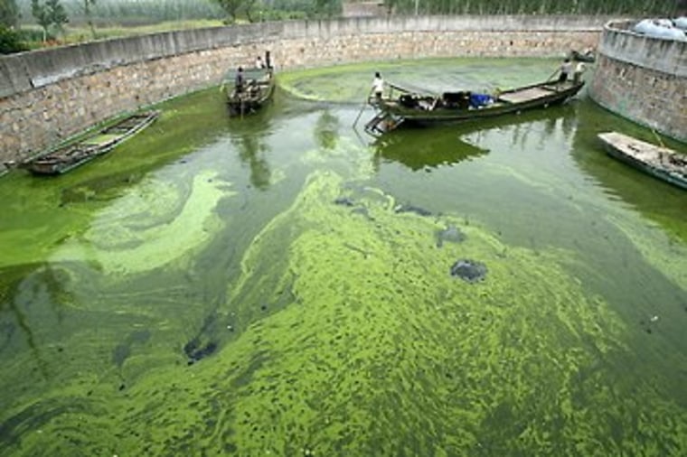 Like it or not, algae is part of the energy debate.